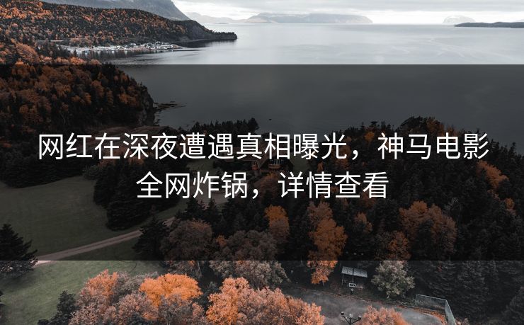 网红在深夜遭遇真相曝光，神马电影全网炸锅，详情查看