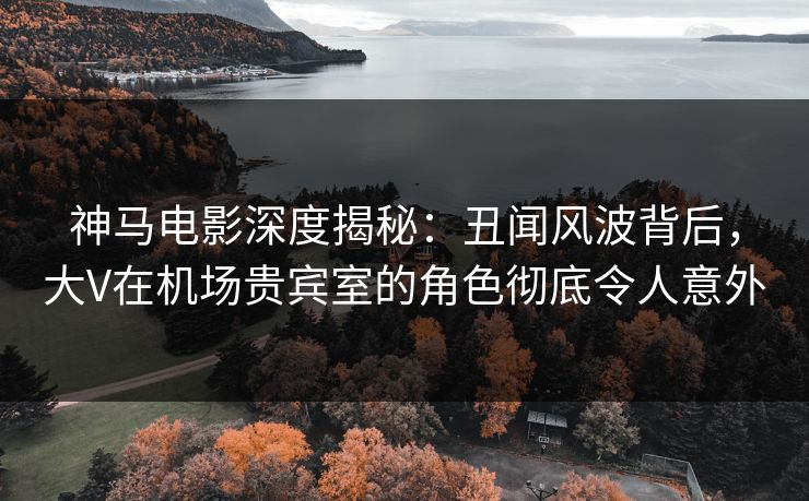 神马电影深度揭秘：丑闻风波背后，大V在机场贵宾室的角色彻底令人意外