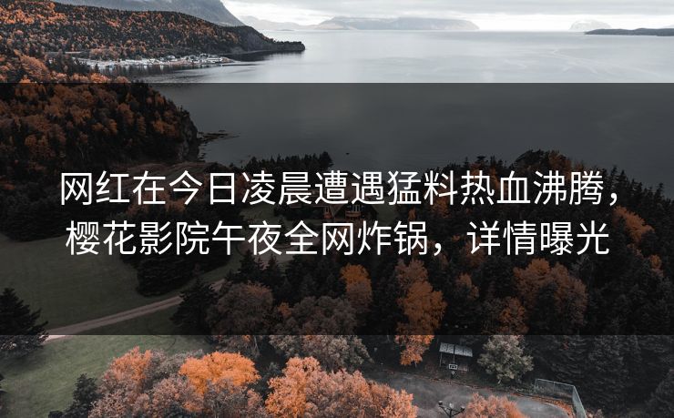 网红在今日凌晨遭遇猛料热血沸腾，樱花影院午夜全网炸锅，详情曝光