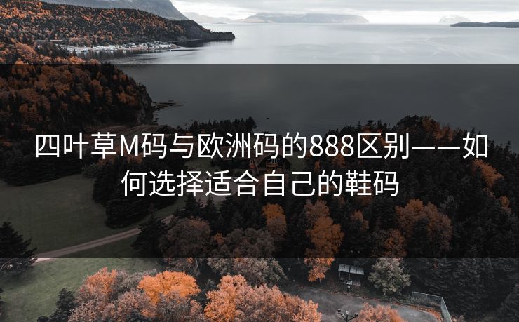 四叶草M码与欧洲码的888区别——如何选择适合自己的鞋码 四叶草M码与欧洲码的888区别——如何选择适合自己的鞋码