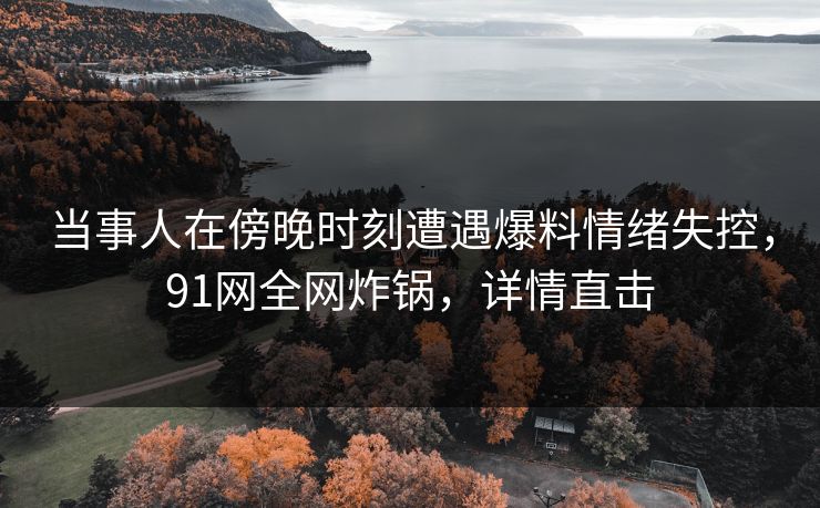 当事人在傍晚时刻遭遇爆料情绪失控,91网全网炸锅,详情直击