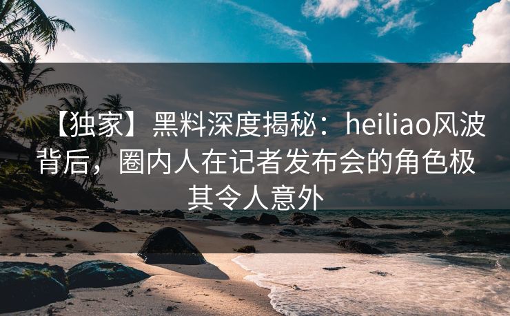 【独家】黑料深度揭秘：heiliao风波背后，圈内人在记者发布会的角色极其令人意外