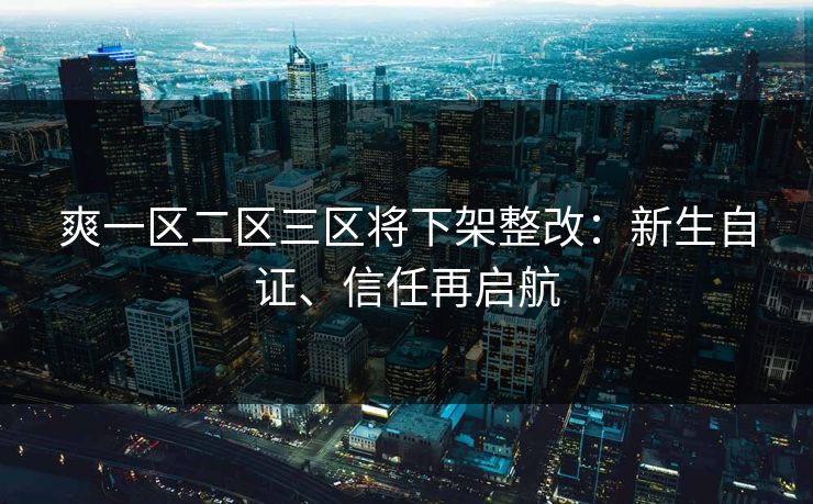 爽一区二区三区将下架整改：新生自证、信任再启航